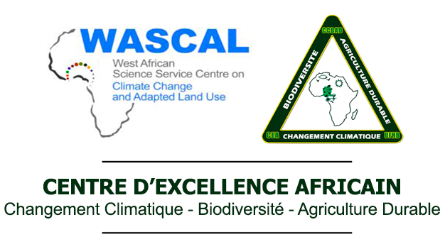 Logo CEA-CCBAD